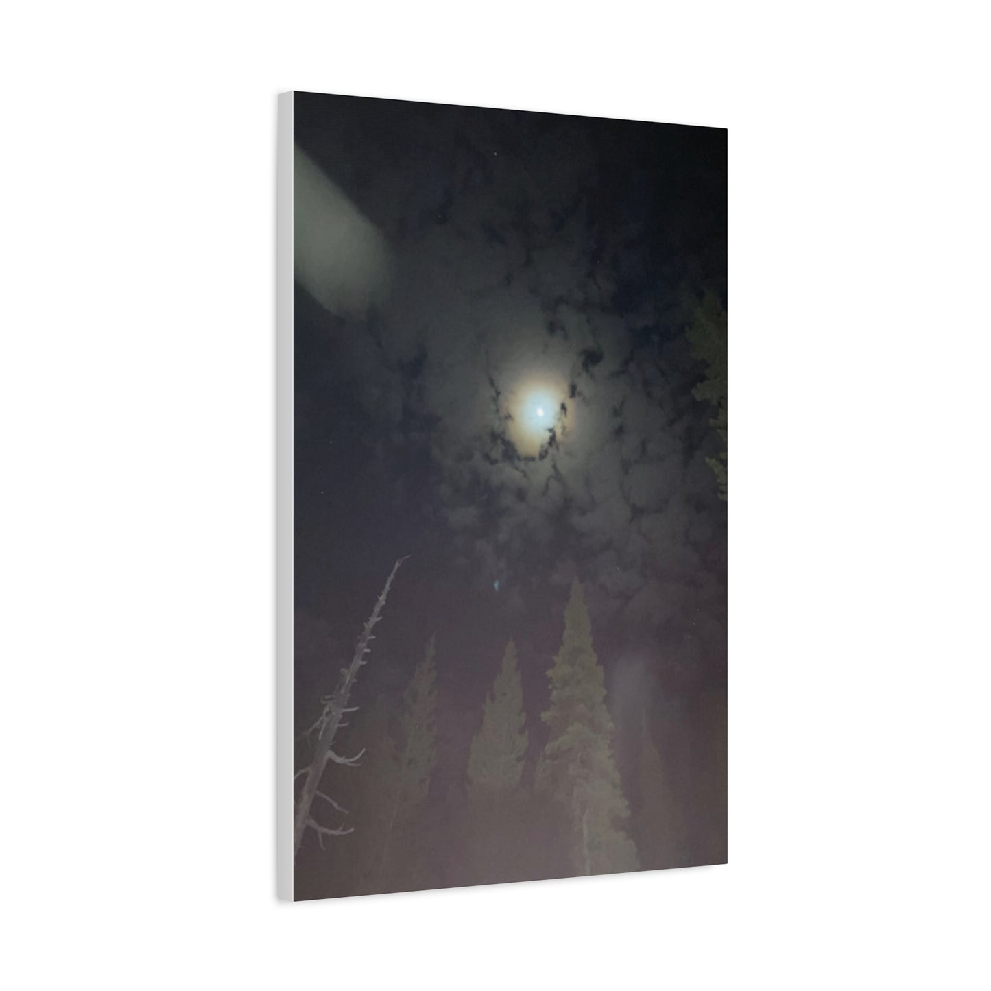 Goodnight, Moonlight