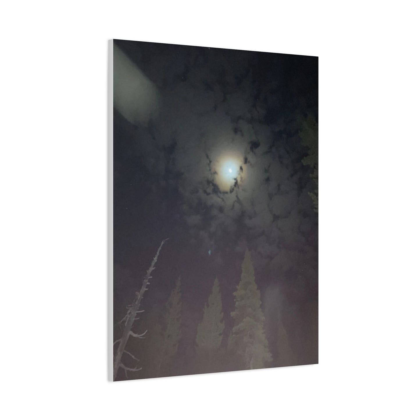 Goodnight, Moonlight