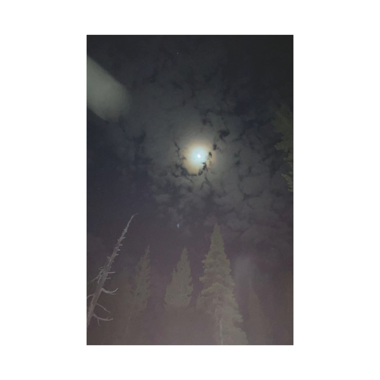 Goodnight, Moonlight