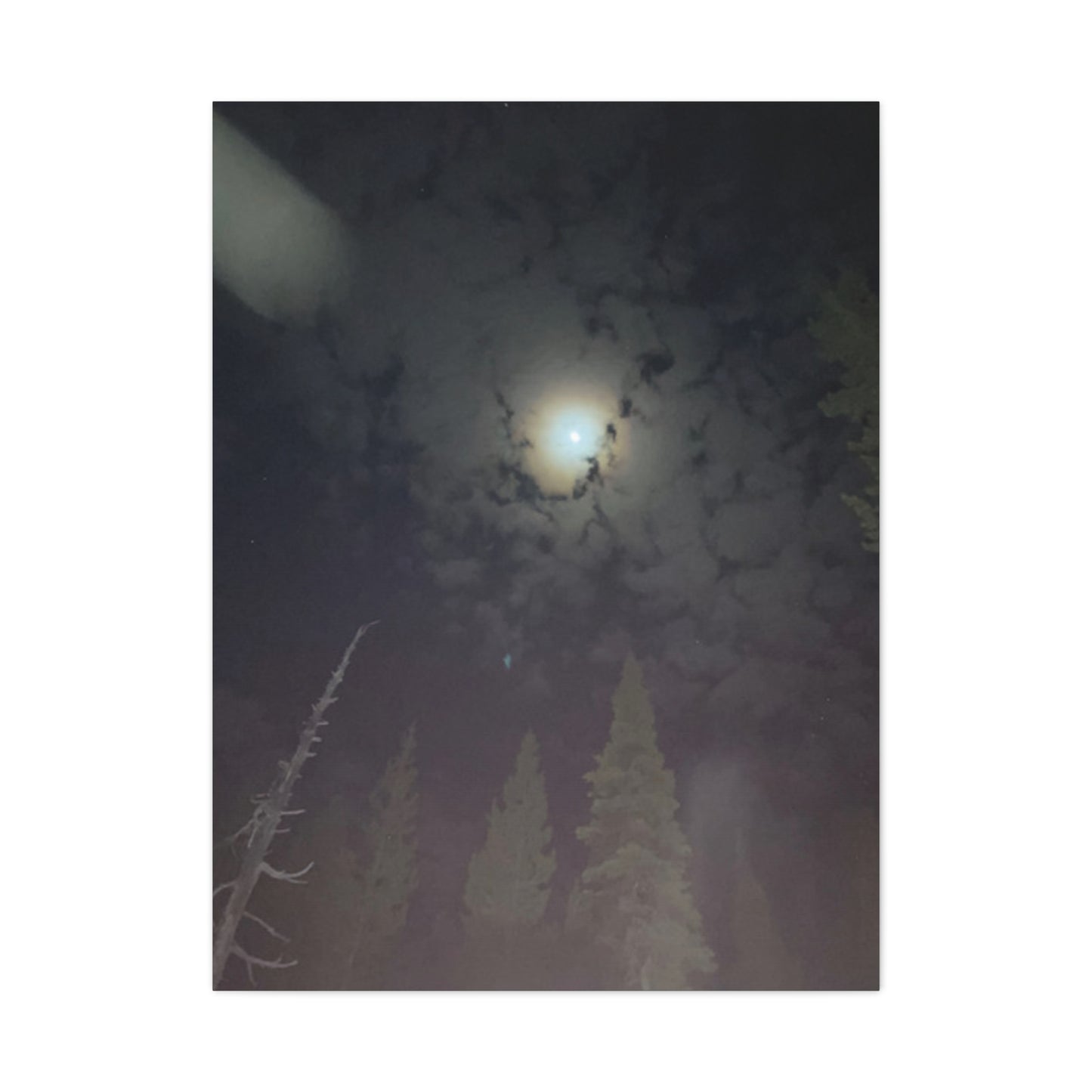 Goodnight, Moonlight